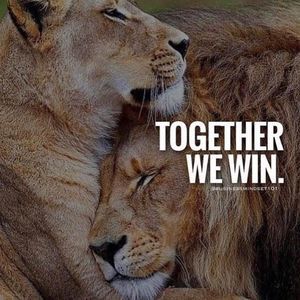 Meet your Posher, Vincent